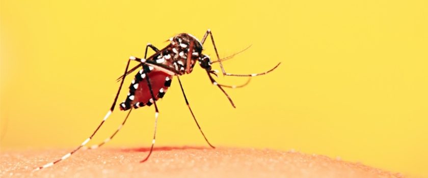 Saúde alerta sobre prevenção de doenças durante temporada de férias no Tocantins; veja orientações